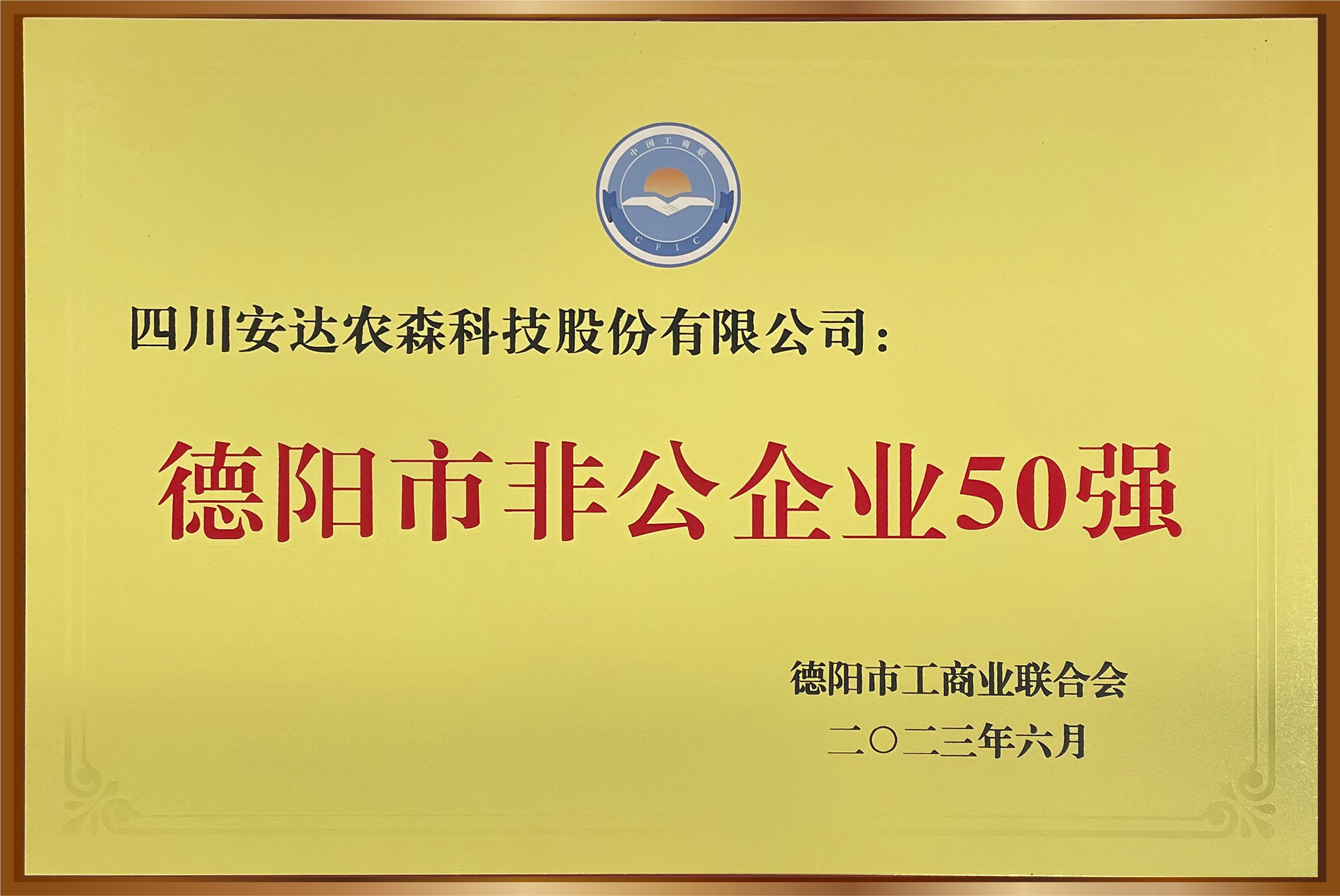 德陽(yáng)市非公企業(yè)50強(qiáng)